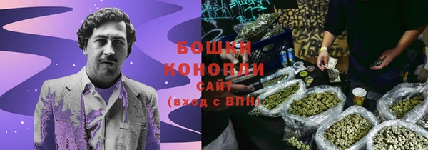 винт Богданович